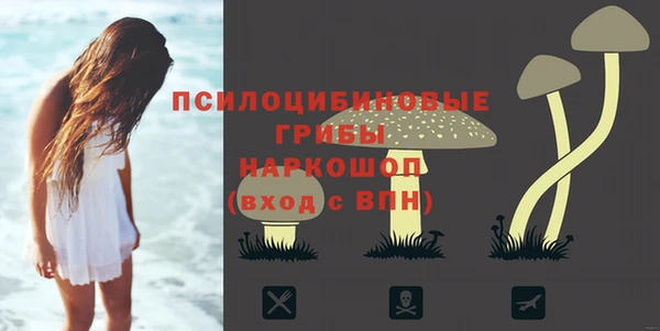 крисы Абдулино