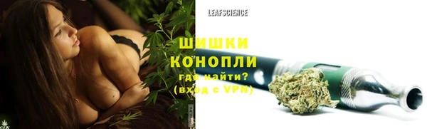 крисы Абдулино