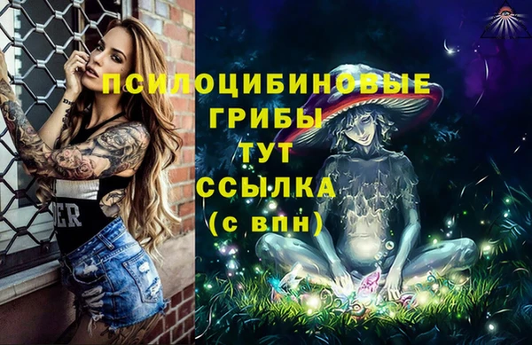 марки lsd Абаза