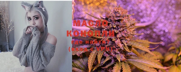 крисы Абдулино