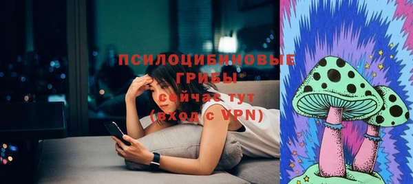 марки lsd Абаза