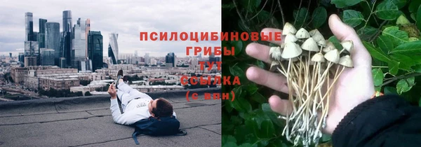 крисы Абдулино