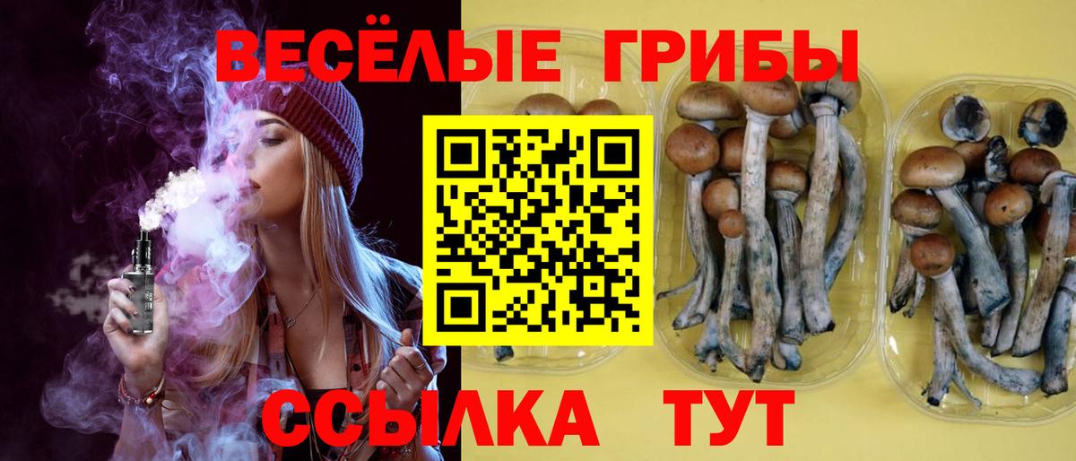 Галлюциногенные грибы MAGIC MUSHROOMS Ухта